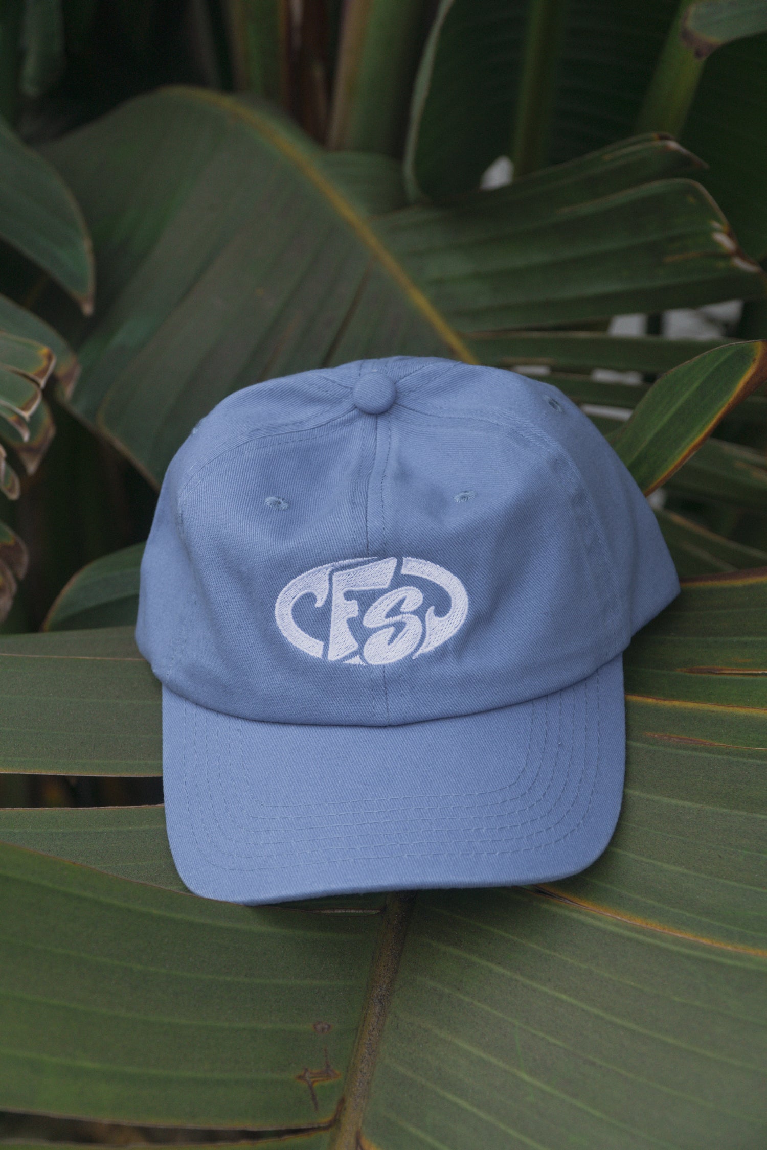 Simple Cap